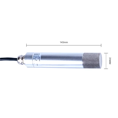 H2S Sensor RY-CH2S